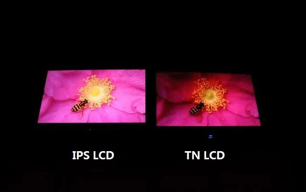 TFT Display vs. IPS Display | Features, Performance, Price