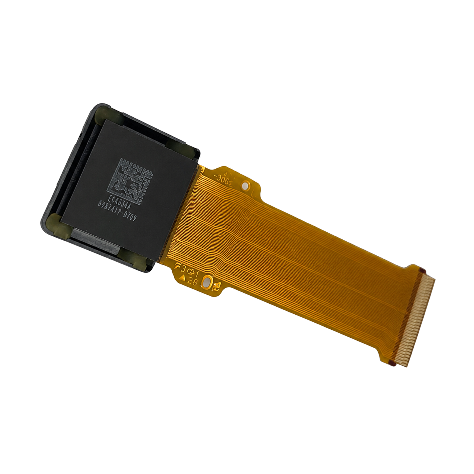 Back view of DM-OLED039-680 0.39-inch Micro OLED display with 61-pin FPC