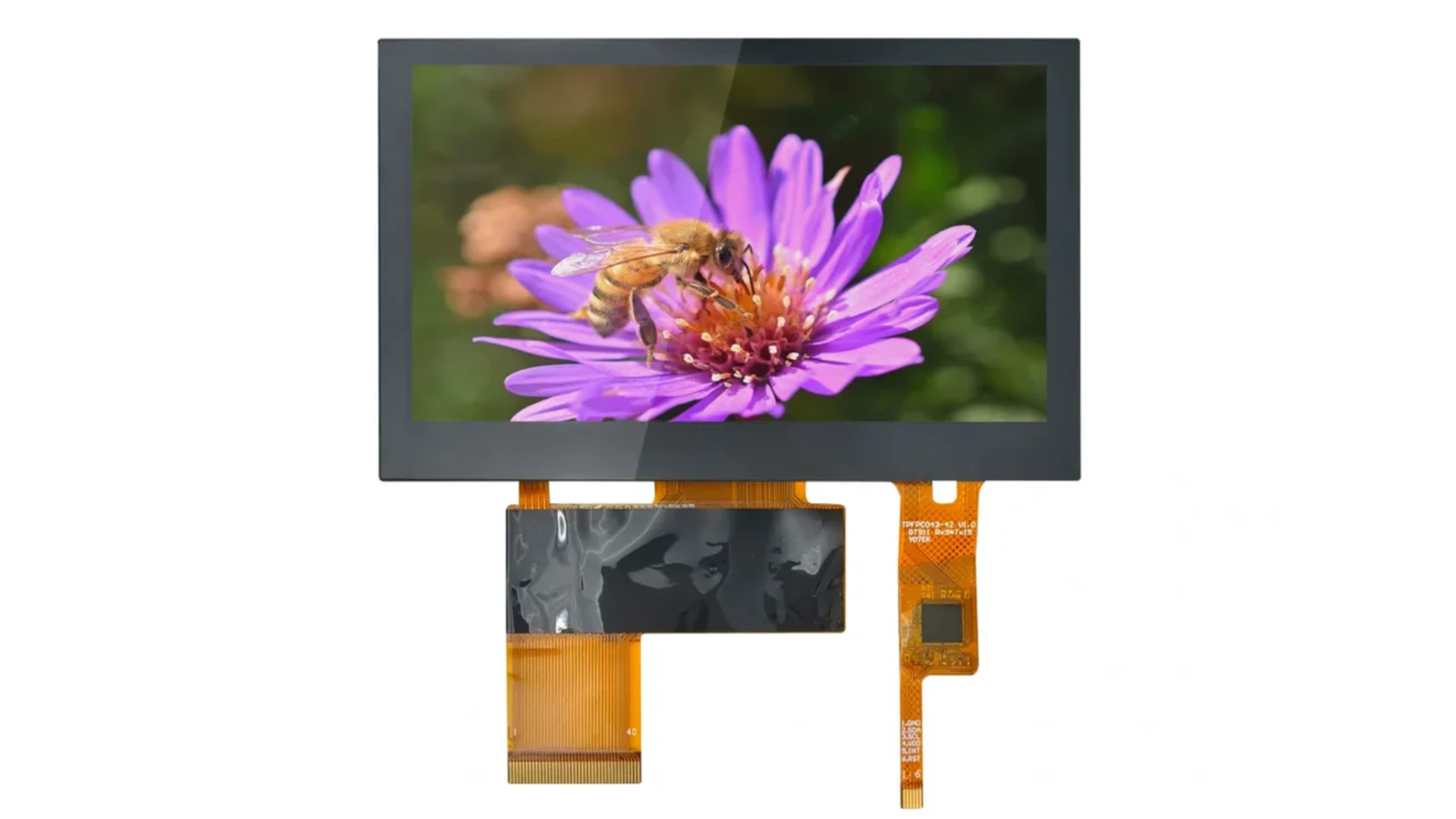 TFT LCD vs OLED Selection Guide | Key Differences, Performance