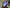 IPS vs VA Display: 6 Contrast Differences