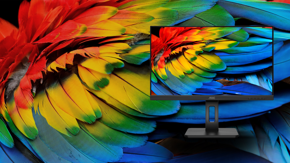 IPS Touch Screen Calibration | 5 Step Guide