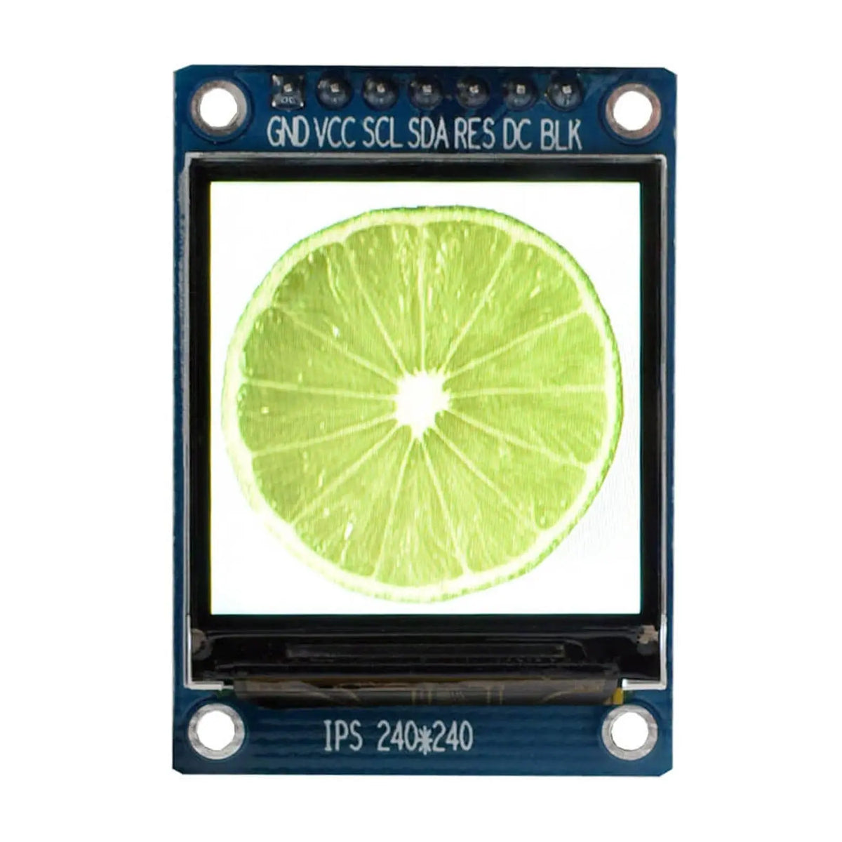 1.3 Inch Round IPS Display | 240x240 Resolution | 450 Nits Brightness ...
