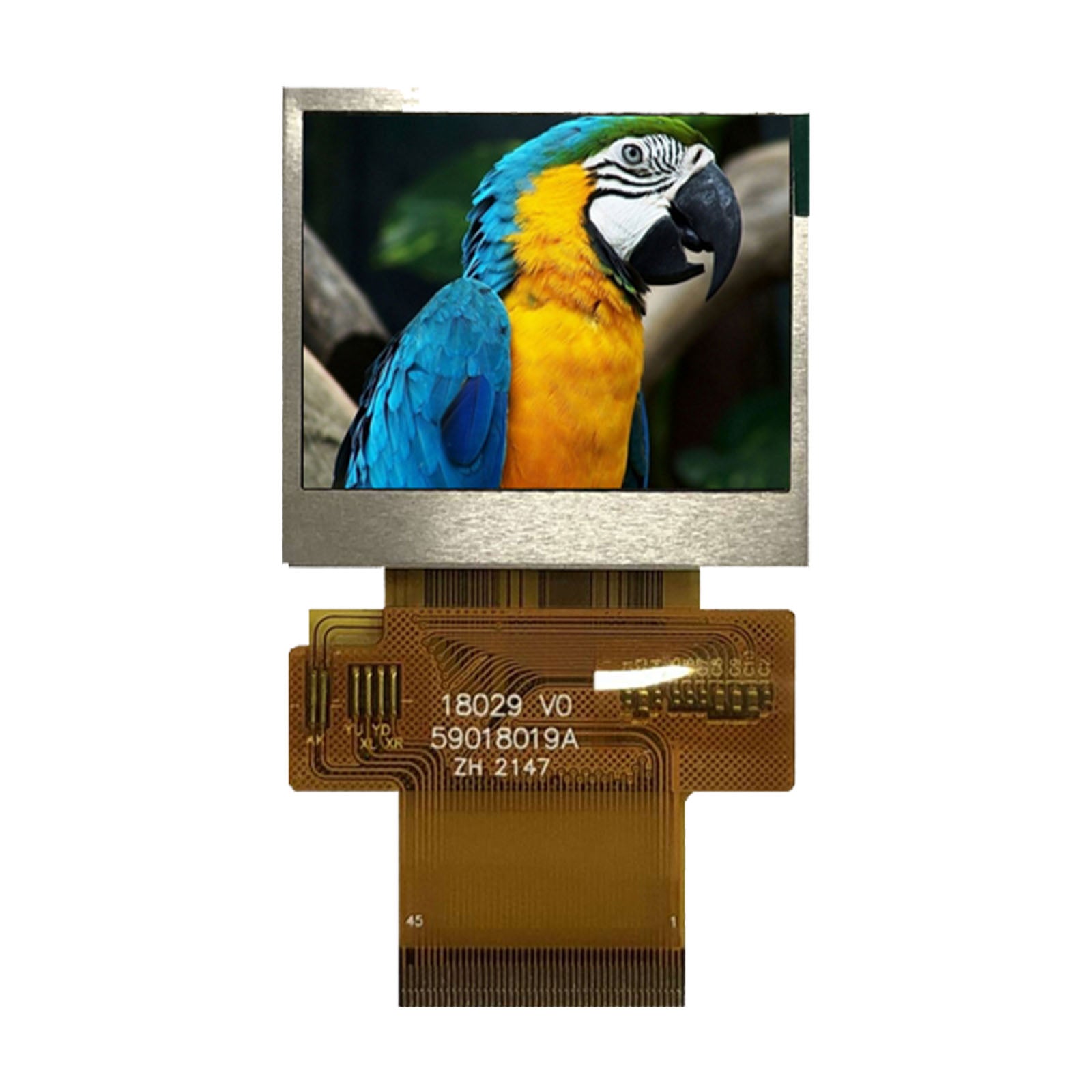 1.75-inch TFT display panel showing an image of a parrot