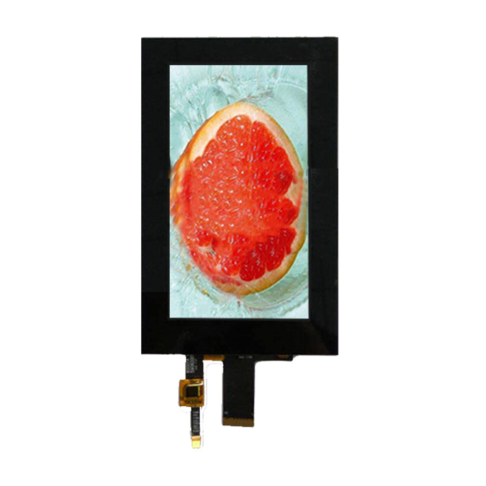 DisplayModule 6.0" IPS 720x1440 Display Panel with Capacitive Touch - MIPI